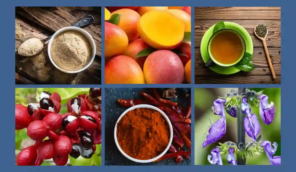 MounjaBoost Ingredients