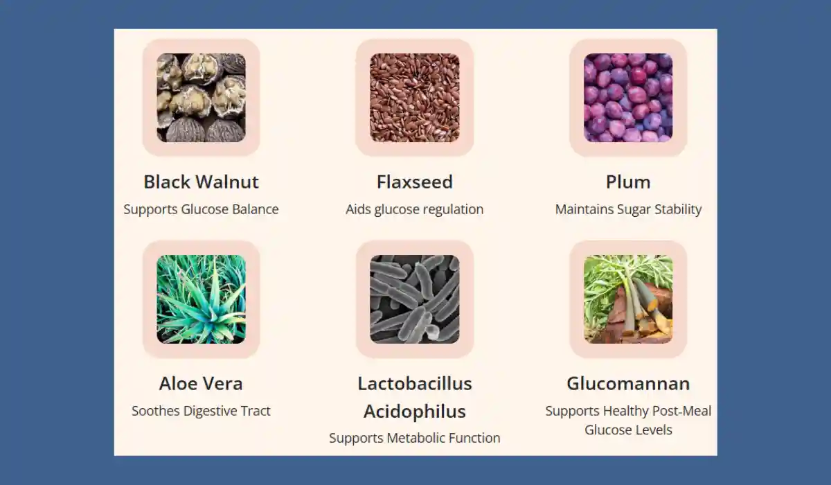 SugarMute Ingredients