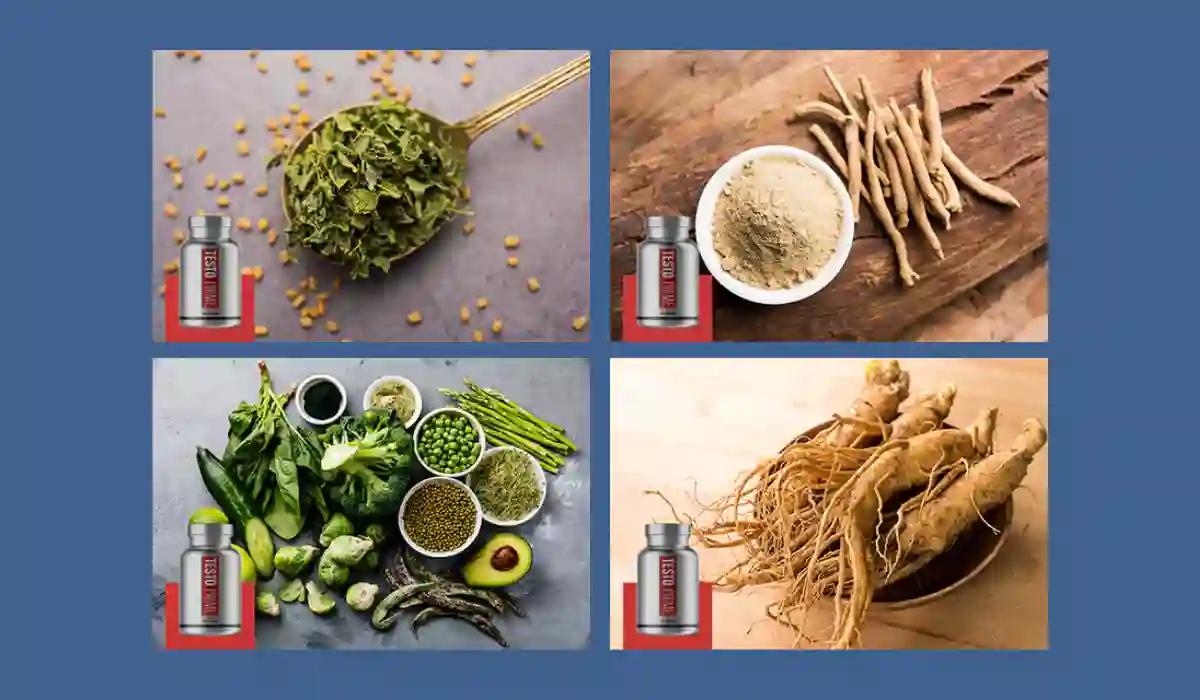 TestoPrime Ingredients
