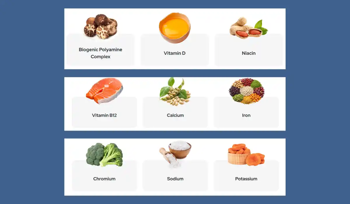 UltraFasting Complex Ingredients